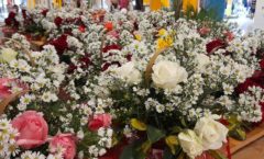 Caxias Shopping recebe Feira Florescer
