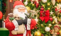 Natal do Shopping Jardim Oriente terá árvore gigante iluminada