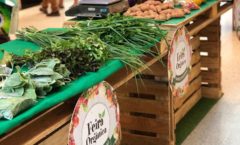 Bangu Shopping recebe Feira Orgânica