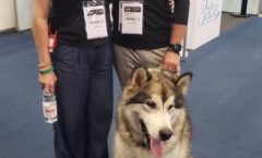 Ana Bittar esteve presente na abertura da Feira Pet South América