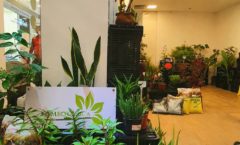 Carioca Shopping recebe loja colaborativa de produtos e serviços de jardinagem agroecológica