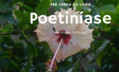 Entenda ‘Poetiníase’, a doença que cura, no novo livro de Alvaro Tallarico