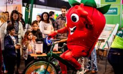 Festa do Morango com Chocolate: festival de sentidos acontece entre os dias 12 e 16 de outubro no Nova Friburgo Country Clube