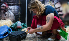 Primeiro Escape Room vegano reúne mais de 500 participantes