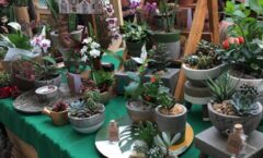 Carioca Shopping recebe a primeira edição do ano da Feira das Flores