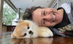 PODCAST “4 PATAS” INICIA O ANO CONTANDO SOBRE UMA DAS RAÇAS MAIS POPULARES ENTRE OS BRASILEIROS, O SPLITZ ALEMÃO