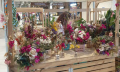 Feira das Flores reúne agricultores e artistas florais no Bangu Shopping