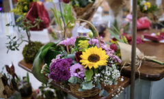 West Shopping comemora chegada da Primavera com Feira de Flores e Plantas